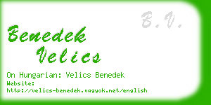 benedek velics business card